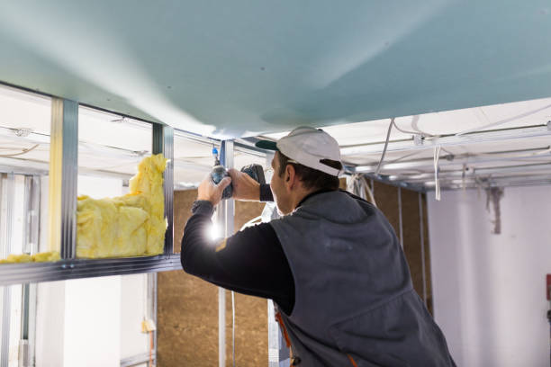 Best Cellulose Insulation in Midtown, TN